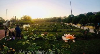 Eram Garden the historic Persian Garden – Shiraz, Iran